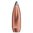 Entdecken Sie die SPEER Boat Tail 375 Caliber Soft Point Bullets für präzise Langstreckenjagd. Zuverlässige Expansion und flache Flugbahn. Jetzt kaufen! 🦌🎯