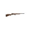 SAVAGE ARMS Mark II GY 19in 22 LR Blue 10+1