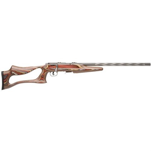 Die Savage 93R17 BSEV 17 HMR mit 21