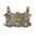 PLACARD 5.56 X .45, MULTICAM