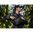 MISSION FIRST TACTICAL, LLC ACHRO 5L EDC SLING BAG W/LASER CUT MOLLE BLACK