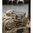 NEXBELT THIN BAR SUPREME APPENDIX BELT COYOTE