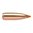 Ballistic Tip Kal. .22 (0,224") Spitzer BT 55GR, 100/Packung