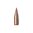 Entdecken Sie die Hornady V-MAX 20 Kaliber (.204) Gewehrkugeln! Präzision, flache Flugbahnen und explosive Fragmentierung. Perfekt für Varmint-Jagd. Jetzt kaufen! 🦊🎯