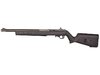 Lightweight 22 LR with Open Sights Black