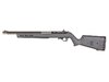Lightweight 22 LR with Open Sights Gray